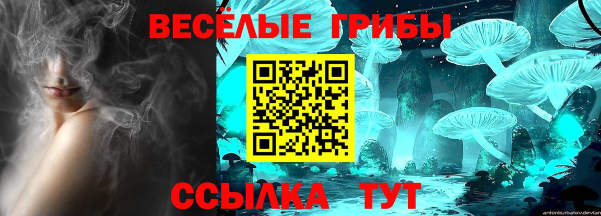 Кропоткин  Галлюциногенные грибы мицелий  Вход с VPN 